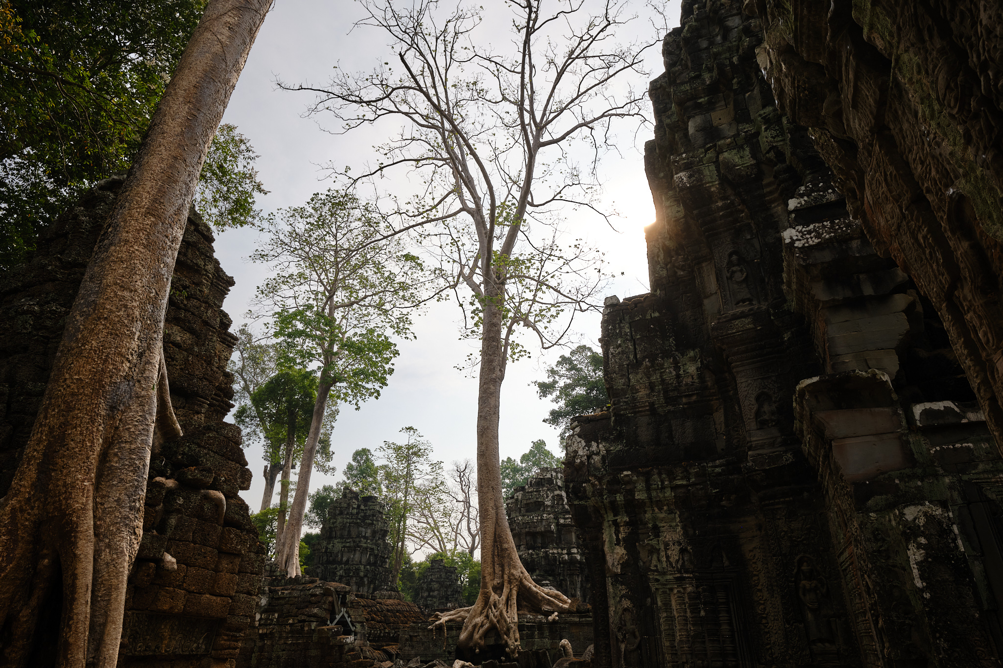 Southeast Asia photograph 5