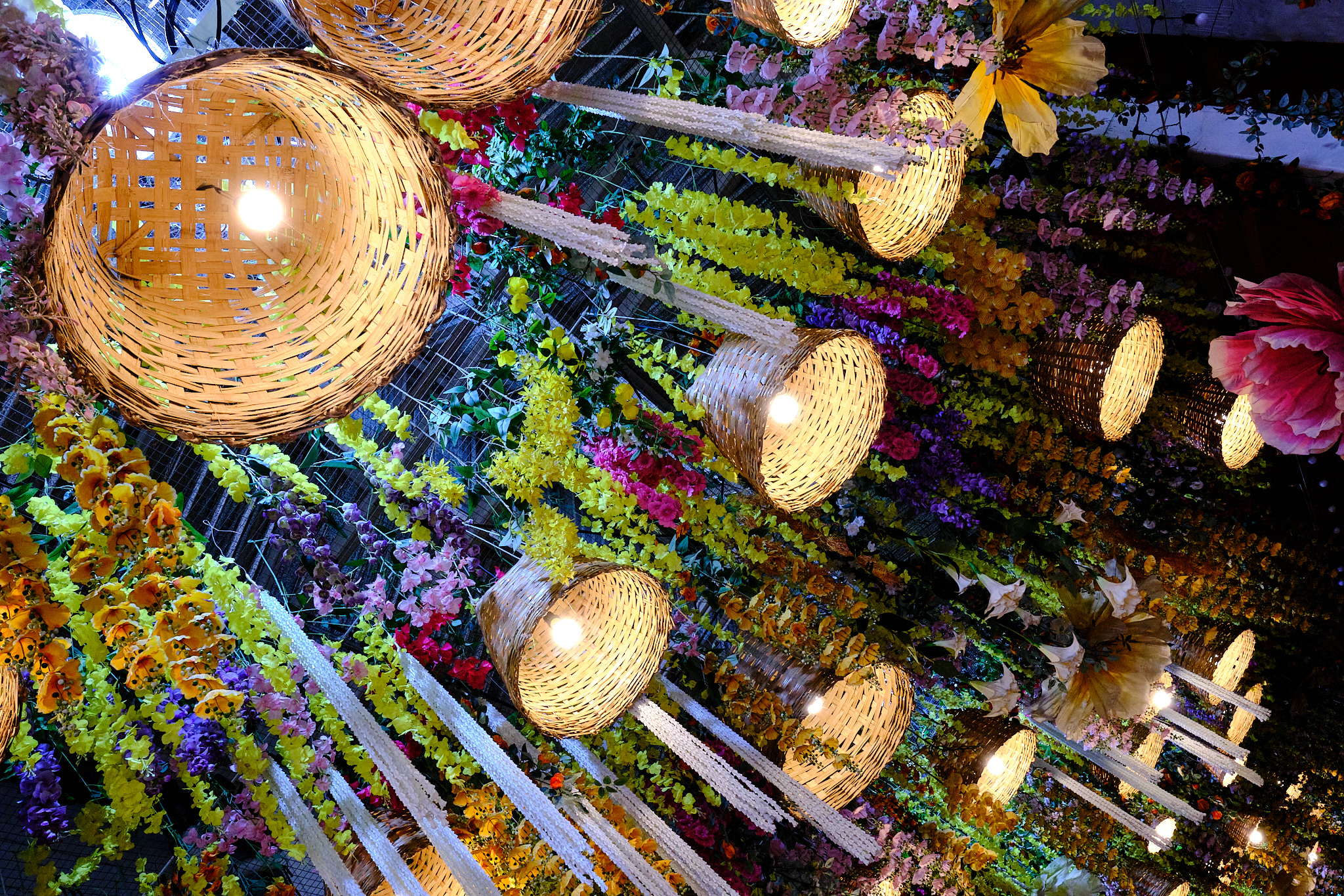 Southeast Asia photograph 6