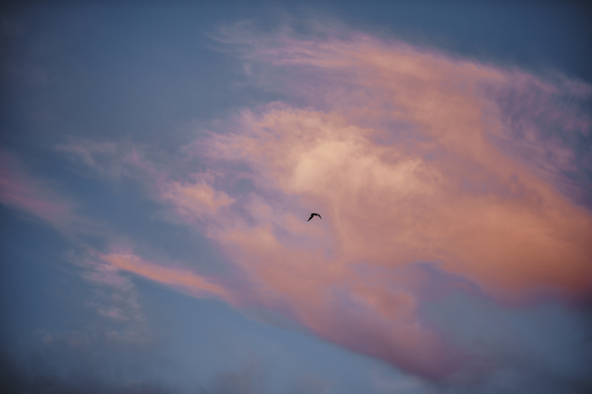 Street photograph 11