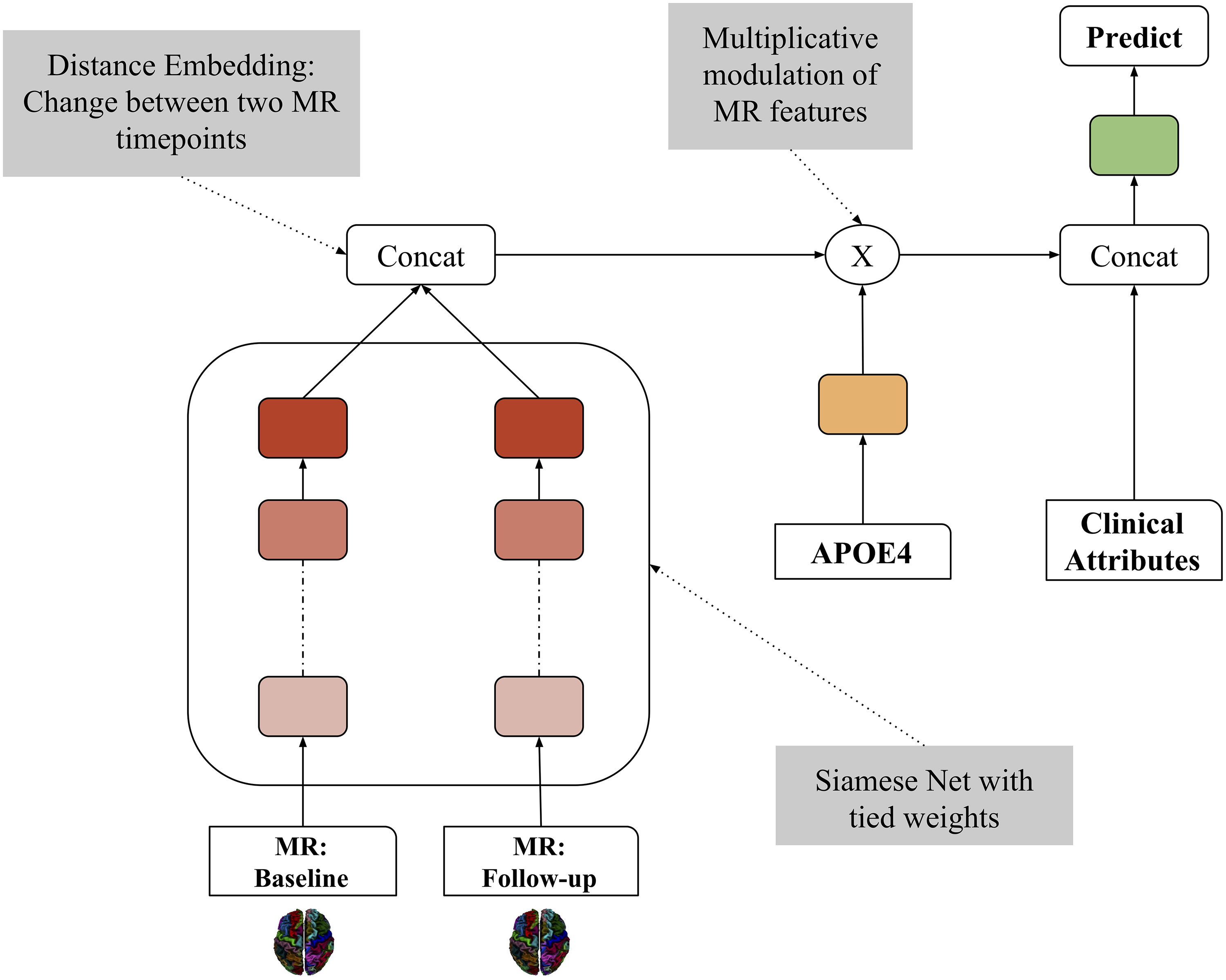 Model Overview